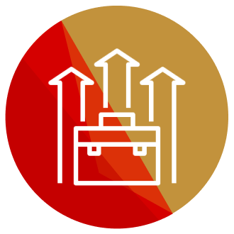 desarrollo profesional icono