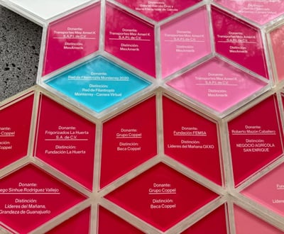 WhatsApp Image 2024-08-19 at 5.52.55 PM 1